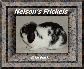 frickles3vgkhhj2.jpg