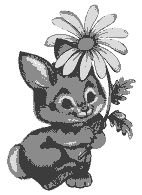 nov3bunny1.gif