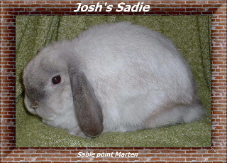 sadiehgfhdfdf2.jpg