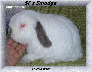 smudge1fgxcgv2.jpg